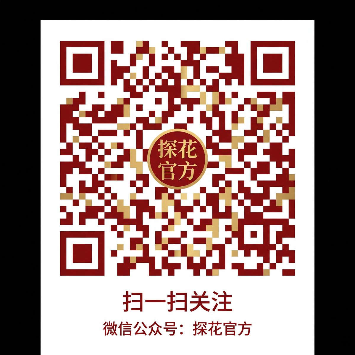 抖音风公众号二维码